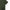 PRE-ORDER Heritage - Olive